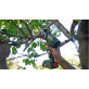 BOSCH UniversalCut 18V-65 grandininis pjūklas